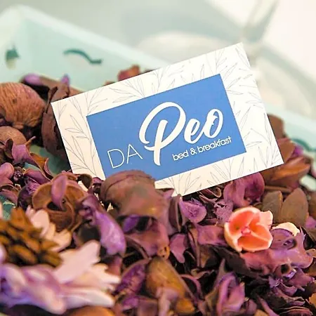 Da Peo Bed and Breakfast Porto San Giorgio